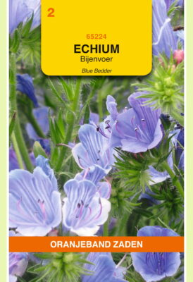 echium plantagineum blue bedder 1g