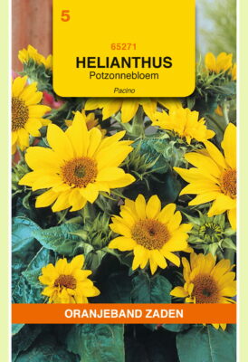 helianthus pacino potzonneblm 0.75g