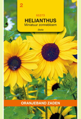 helianthus stella mini.zonneblm 1g