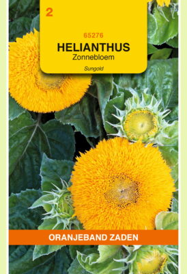 helianthus sungold geel laag 2g