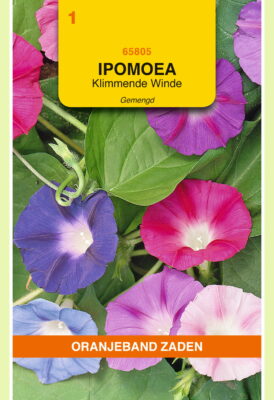 ipomoea purpurea mix 2g