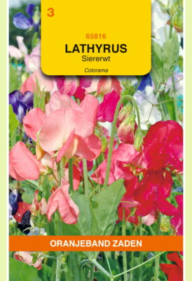 lathyrus odoratus colorama mix 5g