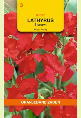 lathyrus odoratus royal rood 4g