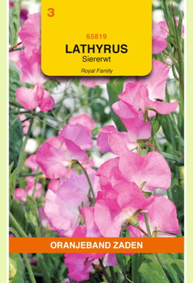 lathyrus odoratus royal rose 4g