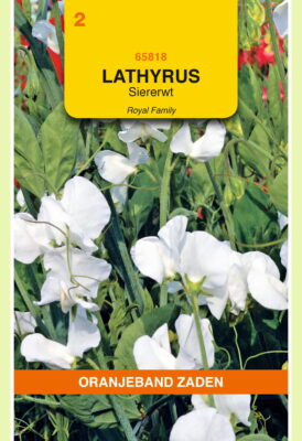 lathyrus odoratus royal wit 4g