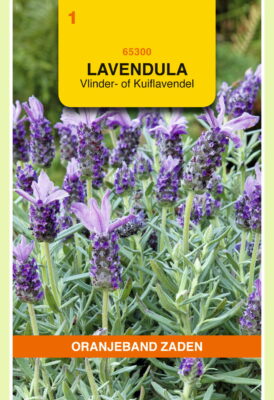 lavendel stoechas sancho panza 0.1g