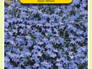 Lobelia kaiser wilhelm 0.25g