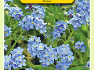 Myosotis alpes victoria blau 0.3g