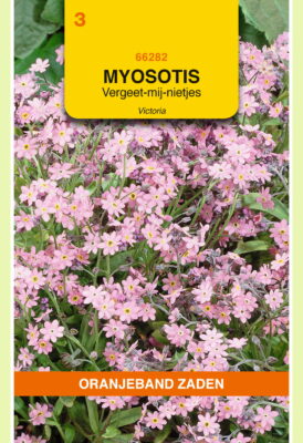 myosotis alpes victoria rose 0.25g