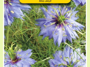 Nigella miss jekyll 1.5g