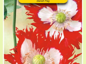 Papaver somniferum danish flag 0.5g