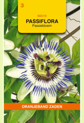 passiflora coerulea 0.33g