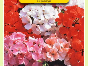 Pelargoniumzonale f2 mix 30zd