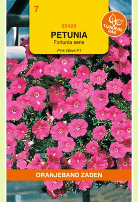 petunia pink wave f1 hybride 12pil