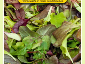 Salade mengsel baby-leaf 3g