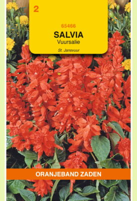 salvia splendensst jansvuur 0.4g