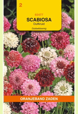 scabiosa hoog dubbel mix 0.6g