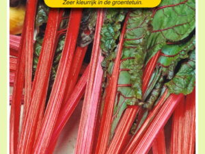 Snijbiet rhubarb chard 3g