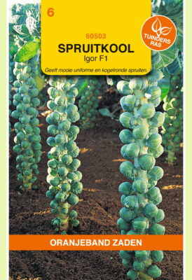 spruitkool igor f1 hybride 0.75g