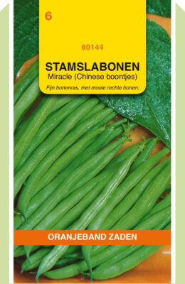 stamslaboon miracle 100g