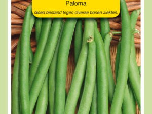 Stamslaboon paloma 100g