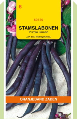stamslaboon purple queen 100g