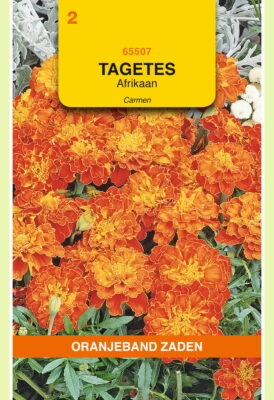 tagetes carmen 1g