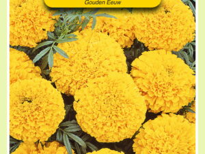 Tagetes gouden eeuw 0.5g