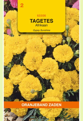 tagetes gypsy sunshine 1g