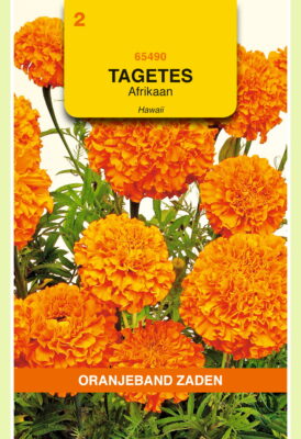 tagetes hawaii 1g