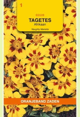 tagetes naughty marietta 1g