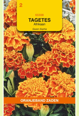 tagetes queen sophia 1g