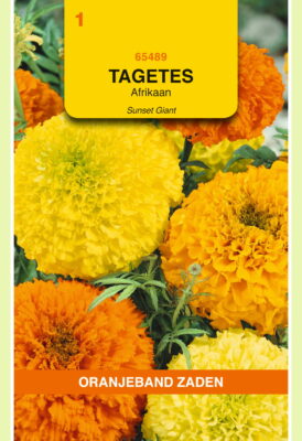 tagetes sunset giants mix 1g