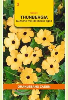 thunbergia alata suzanne 0.5g