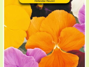 Viola hollandse reus mix 0.4g