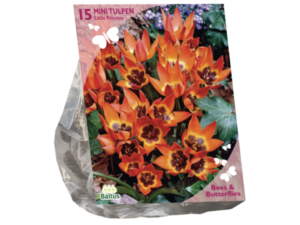 b&b - tulipa little princess 15st