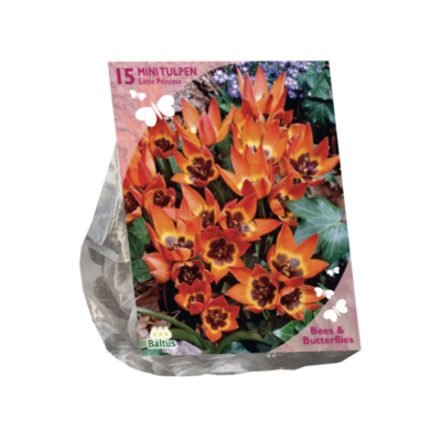 bees & butterflies – tulipa little princess per 15