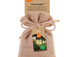 bio - crocus romance 10st
