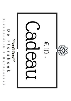 Cadeaubon 10 euro