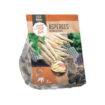 rabarber holsteiner blut 1st