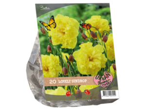 urban flowers lovely sundrop 20st