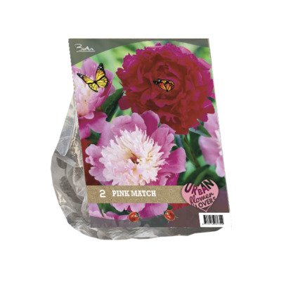 urban flowers pink match 2st