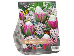 urban flowers spring feelings 15st