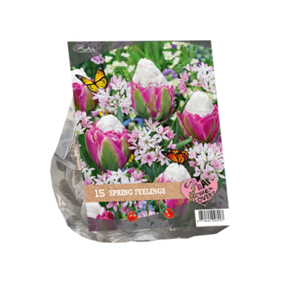 urban flowers – spring feelings per 15