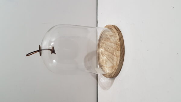 bell on base glass / wood 23x23x30cmtransparent