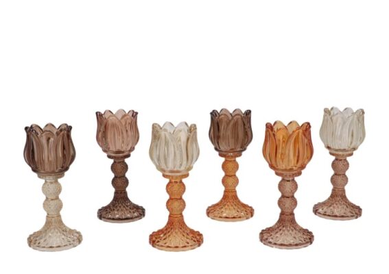 bicolore earthy terra bloom t-light ass