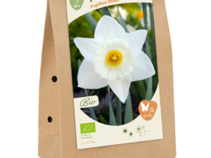 bio - narcis papillon blanc 5st