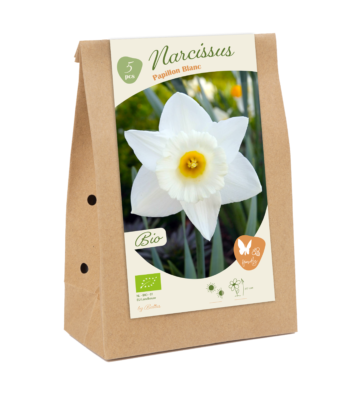 bio narcis papillon blanc 5st