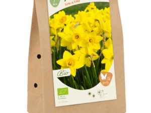 bio - narcissus tete a tete 7st