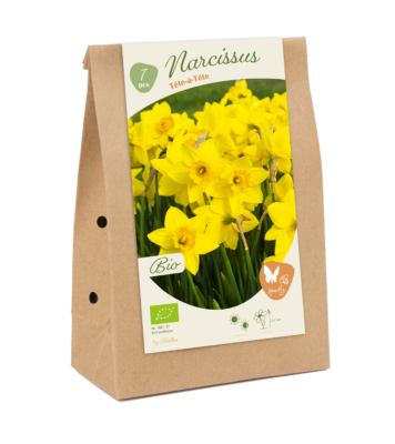 bio – narcissus tete a tete 7st